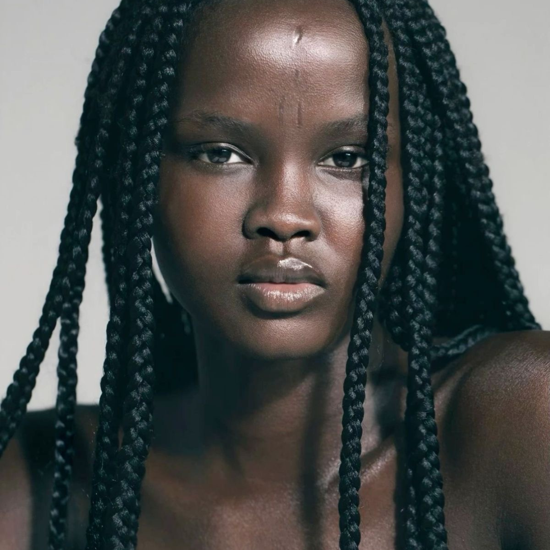 healthy hair braids protective styles